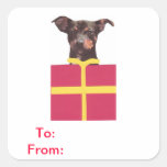 El regalo del Pinscher miniatura marca al pegatina