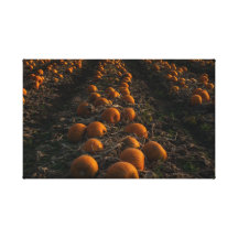 El remiendo de la calabaza lona envuelta para galerias