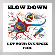 El retraso dejó su neurona/sinapsis del fuego de l posters