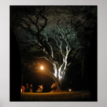 El roble poster