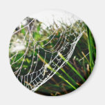 El rocío cubrió el Web de araña en hierba Iman Para Frigorífico