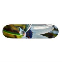 El rocío florece los pétalos tablas de patinar