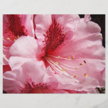 El rododendro rosado florece el papel de encargo d flyer personalizado