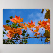 El rojo deja el cielo azul posters