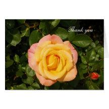 El rosa amarillo le agradece cardar tarjeton