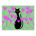 El rosa del gato negro florece tarjetas postales
