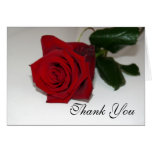 El rosa rojo le agradece felicitacion 