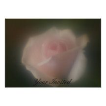 El rosa suave hermoso de la lente del foco subió s invitaciones personalizada