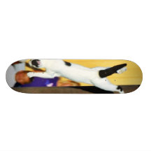 El salto de los gatos patinetas personalizadas