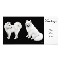 El samoyedo persigue la tarjeta de la foto tarjetas personales con fotos