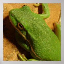 El ser fácil verde poster