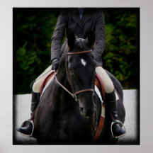 El Showjumper Impresiones