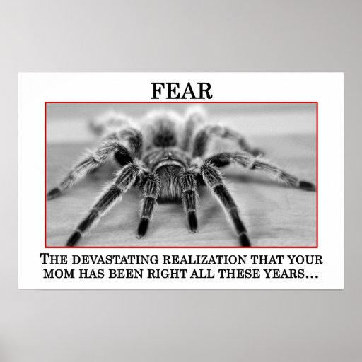 El significado verdadero del miedo (s) poster