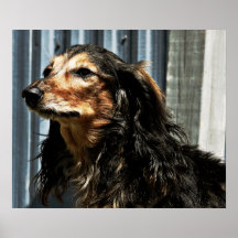 El Snuggle fastidia al guarda de Mackenzie Impresiones