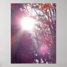 El sol del otoño irradia #60 poster