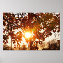El sol es brillante posters