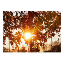 El sol es brillante plantillas de tarjeta de negocio
