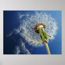 El soplar en el viento - poster enorme de la pared