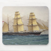 El Swan salvaje, 1906 Alfombrilla De Raton