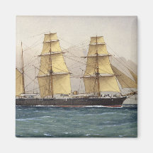 El Swan salvaje, 1906 Iman Para Frigorífico
