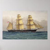 El Swan salvaje, 1906 Impresiones