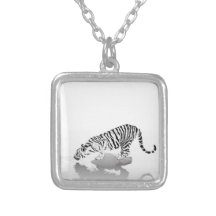 el tigre bebe el collar