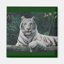 el tigre blanco imán de frigorífico