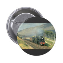 El tren por último vapor-acarreado del ferrocarril pins