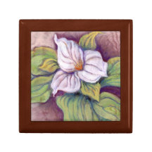 El TRILLIUM de la PRIMAVERA por el CR SINCLAIR Caja De Regalo