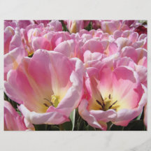 El tulipán de encargo del rosa del papel de los av flyer a todo color