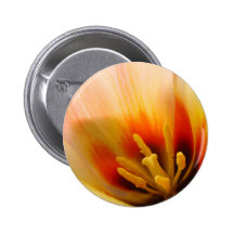 El TULIPÁN de los TULIPANES FLORECE 31 regalos del Pin