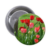 El TULIPÁN ROJO de los TULIPANES FLORECE 32 regalo Pin