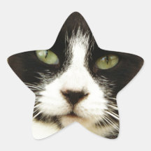 El último espera el jaspe blanco y negro pegatina forma de estrella personalizada