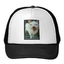 El último espera malicioso hablador gorra