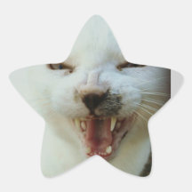 El último espera malicioso hablador pegatinas forma de estrella