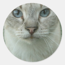 El último espera ojos azules pegatinas redondas