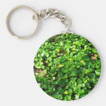 el verde es hermoso llaveros personalizados