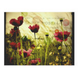 El vintage florece la postal