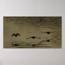El volar apagado posters
