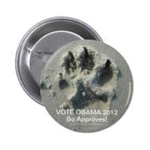 ¡EL VOTO OBAMA BO 2012 APRUEBA! PINS