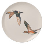 El Wigeon americano Ducks la placa Platos Para Fiestas