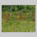 El Wildflower coloca la impresión fotográfica 10 x fotografía