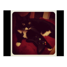 El X-box de Lucy Postal