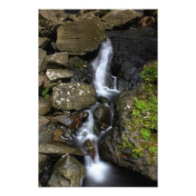EL Yunque Puerto Rico Impresión Fotográfica