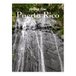 EL Yunque, Puerto Rico Tarjeta Postal