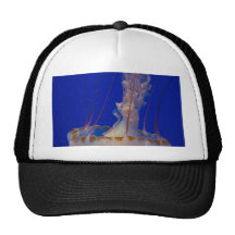 El zambullirse en el profundo gorros  