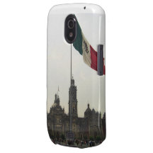 EL Zocalo DF del en de Bandera Galaxy Nexus Carcasa
