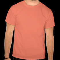 Elección 2012 de Obama de la ayuda camisetas