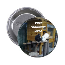 Elecciones 2012 pins