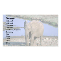 Elefante africano por el agua tarjetas de visita